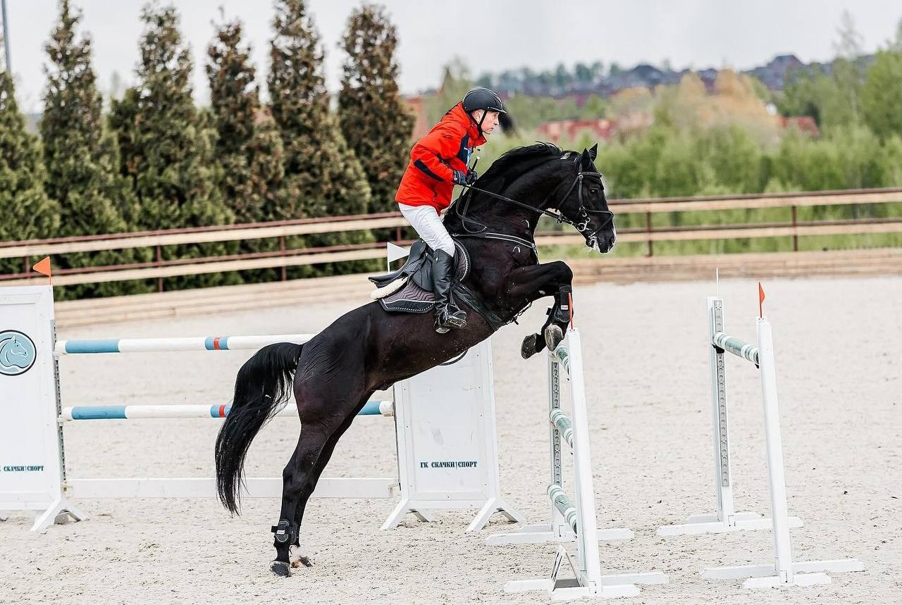 Открытый Кубок КСК «Дивный» по конкуру. Конный фотограф Куракина Дарья • Фотосессии с лошадьми