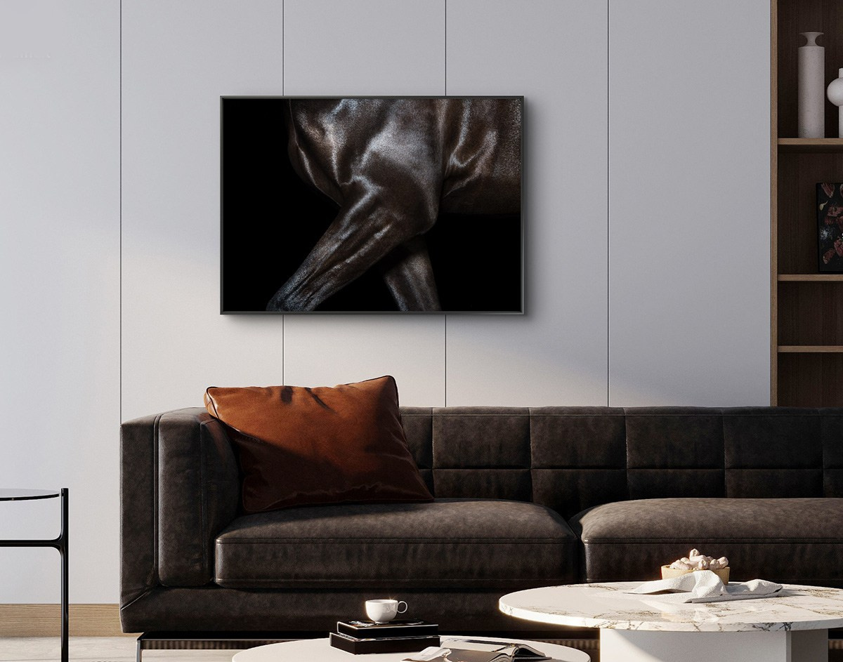 LUMEN DUO Art photography for interiors