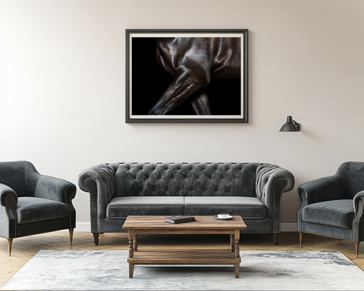 LUMEN DUO Art photography for interiors