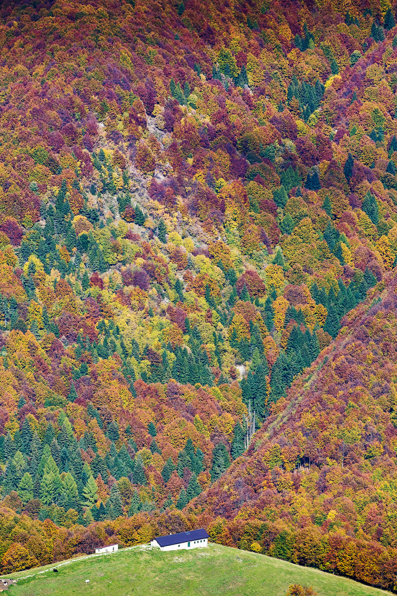 Италия. Творческие сьемки