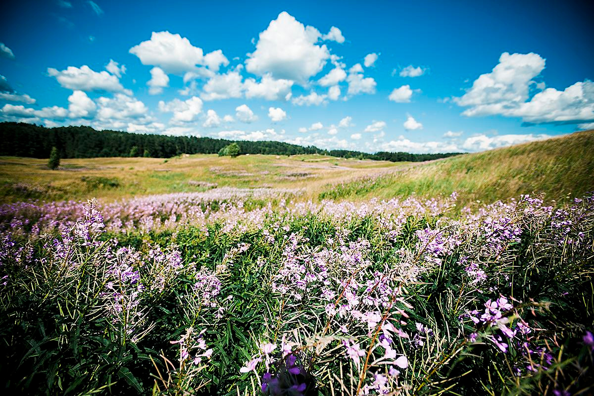 Дима+Лиза. Photographer in Cyprus