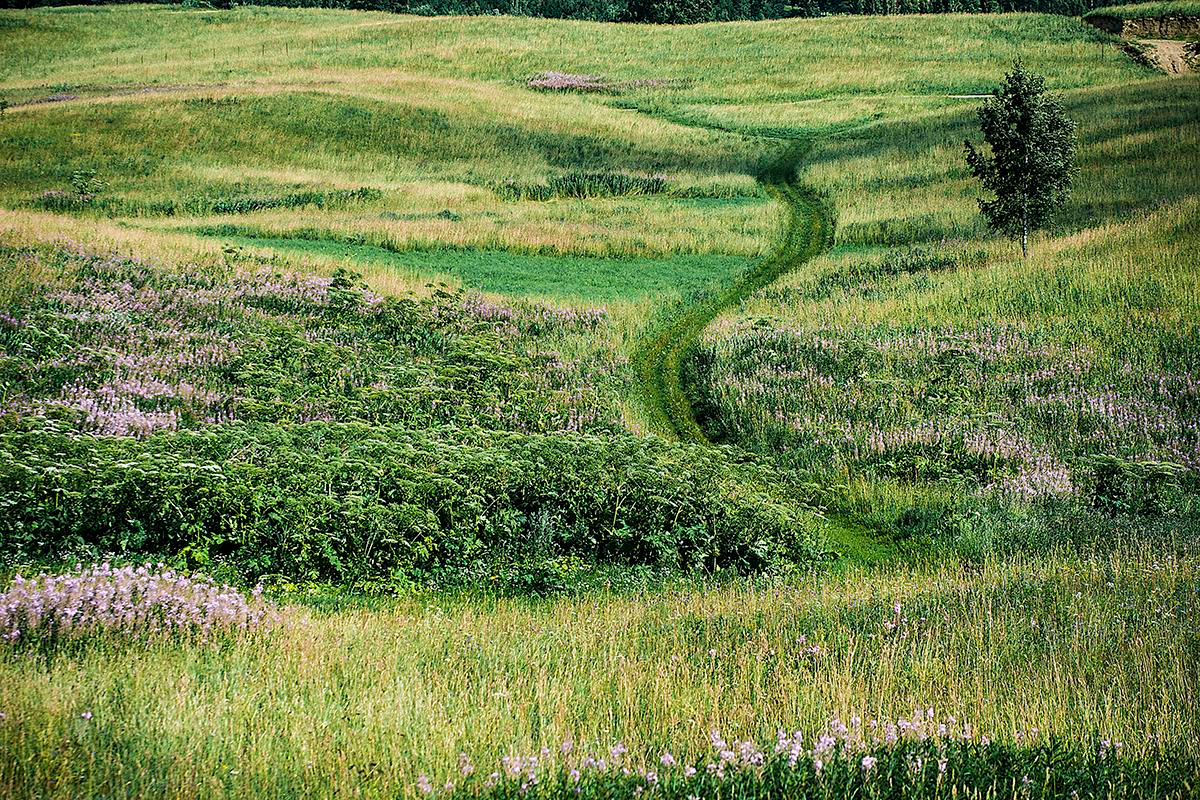 Дима+Лиза. Photographer in Cyprus
