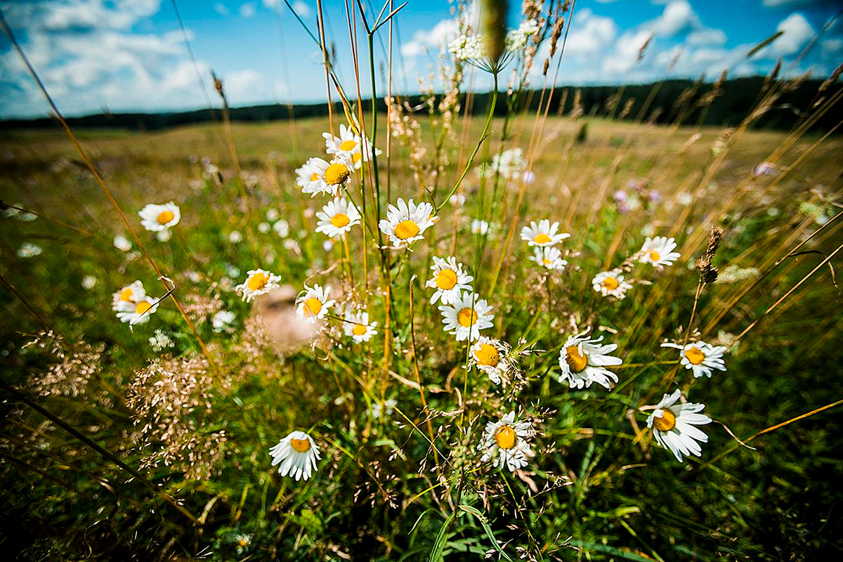 Дима+Лиза. Photographer in Cyprus