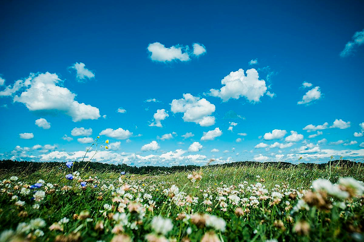 Дима+Лиза. Photographer in Cyprus