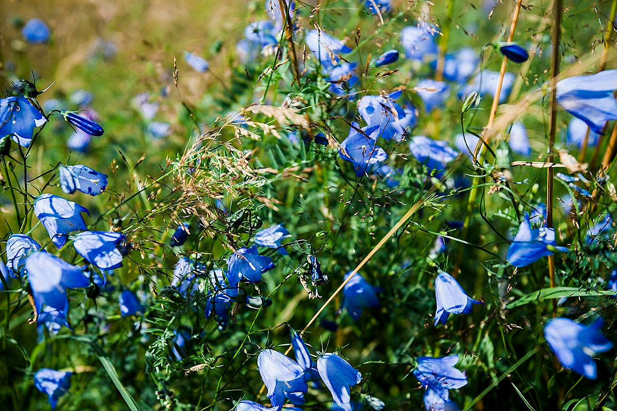 Дима+Лиза. Photographer in Cyprus