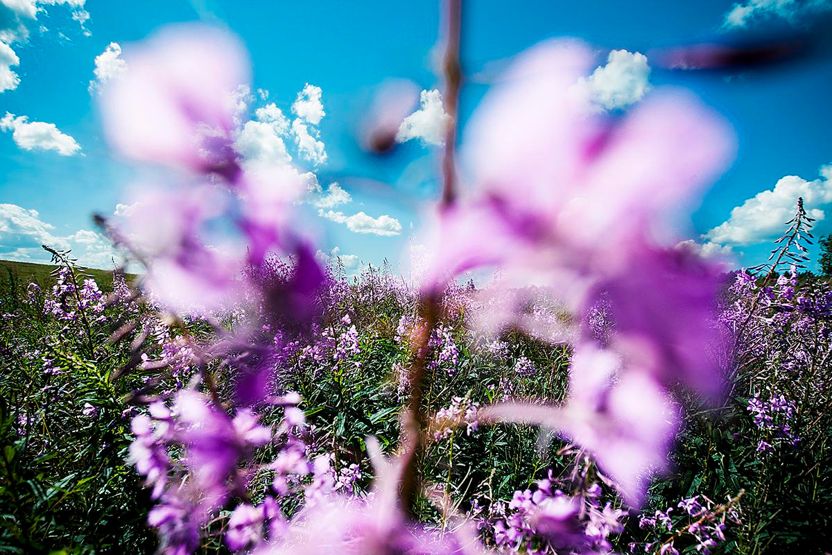 Дима+Лиза. Photographer in Cyprus