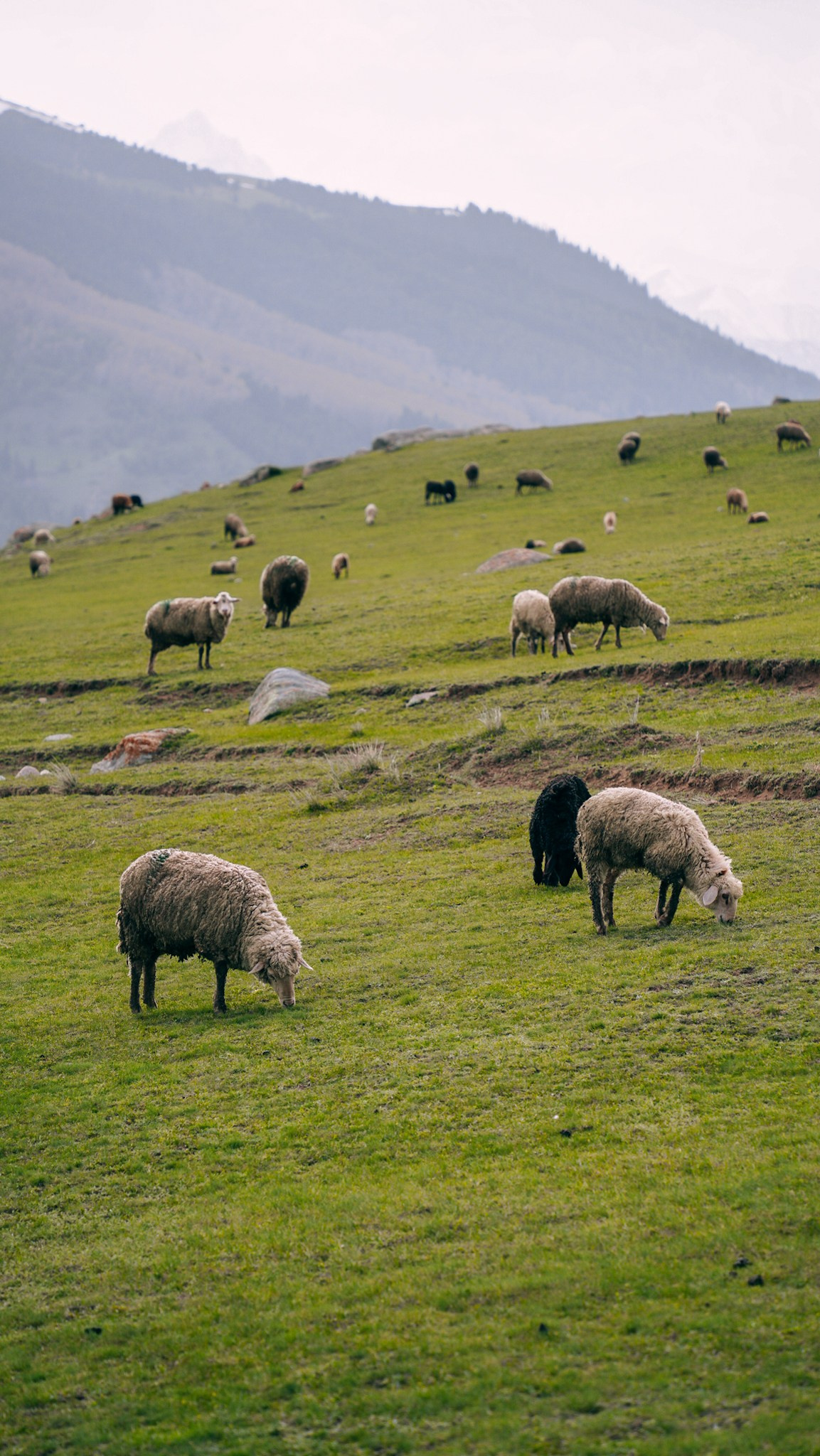 Кыргызстан. Человек с фотокамерой