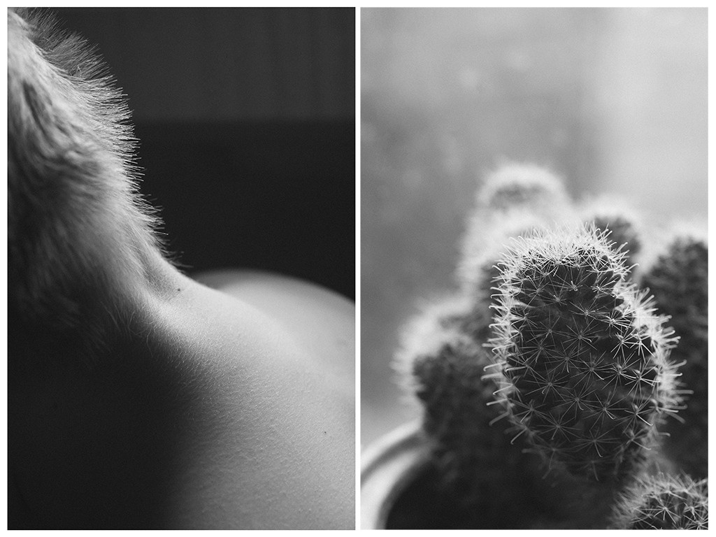 Подобия. Фотограф Елена Хазина, Рязань