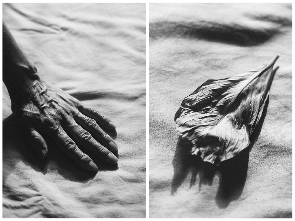 Подобия. Фотограф Елена Хазина, Рязань