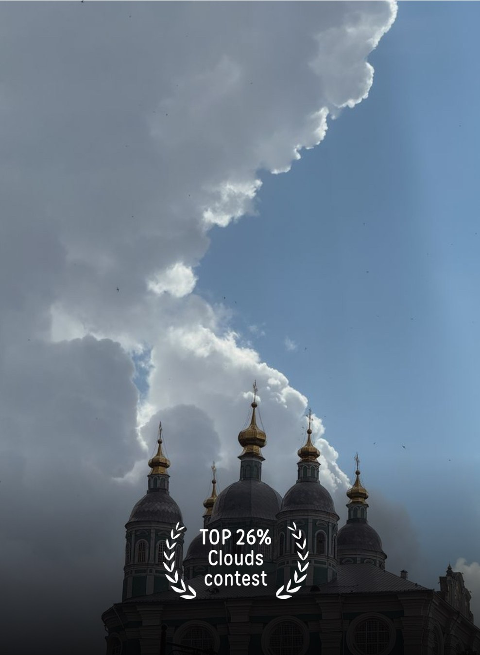 Фотопремия 35 AWARDS. Алиса Чугунова. Художественная фотография