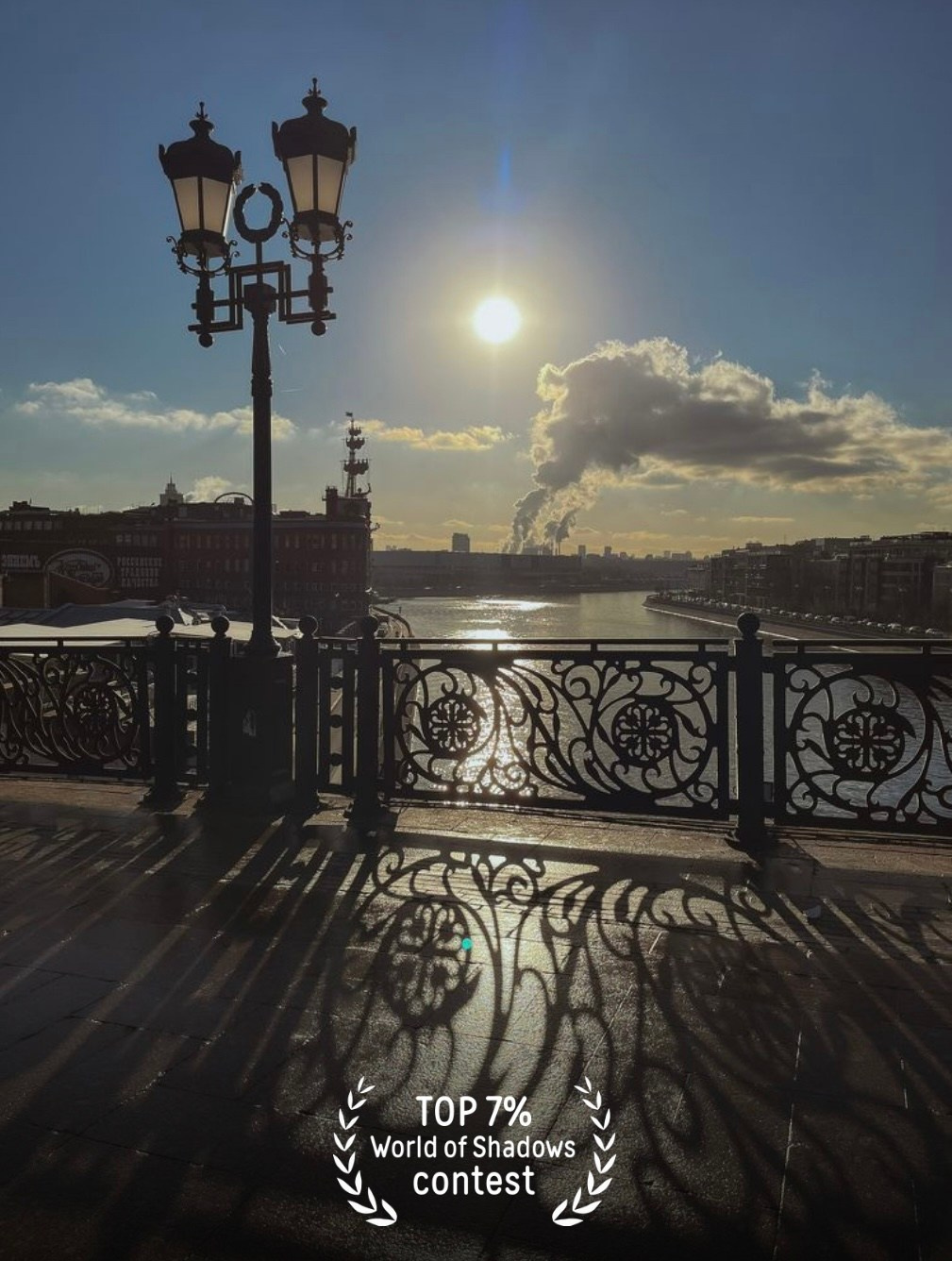 Фотопремия 35 AWARDS. Алиса Чугунова. Художественная фотография