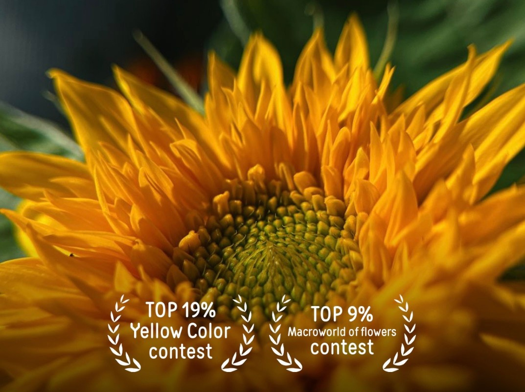 Фотопремия 35 AWARDS. Алиса Чугунова. Художественная фотография