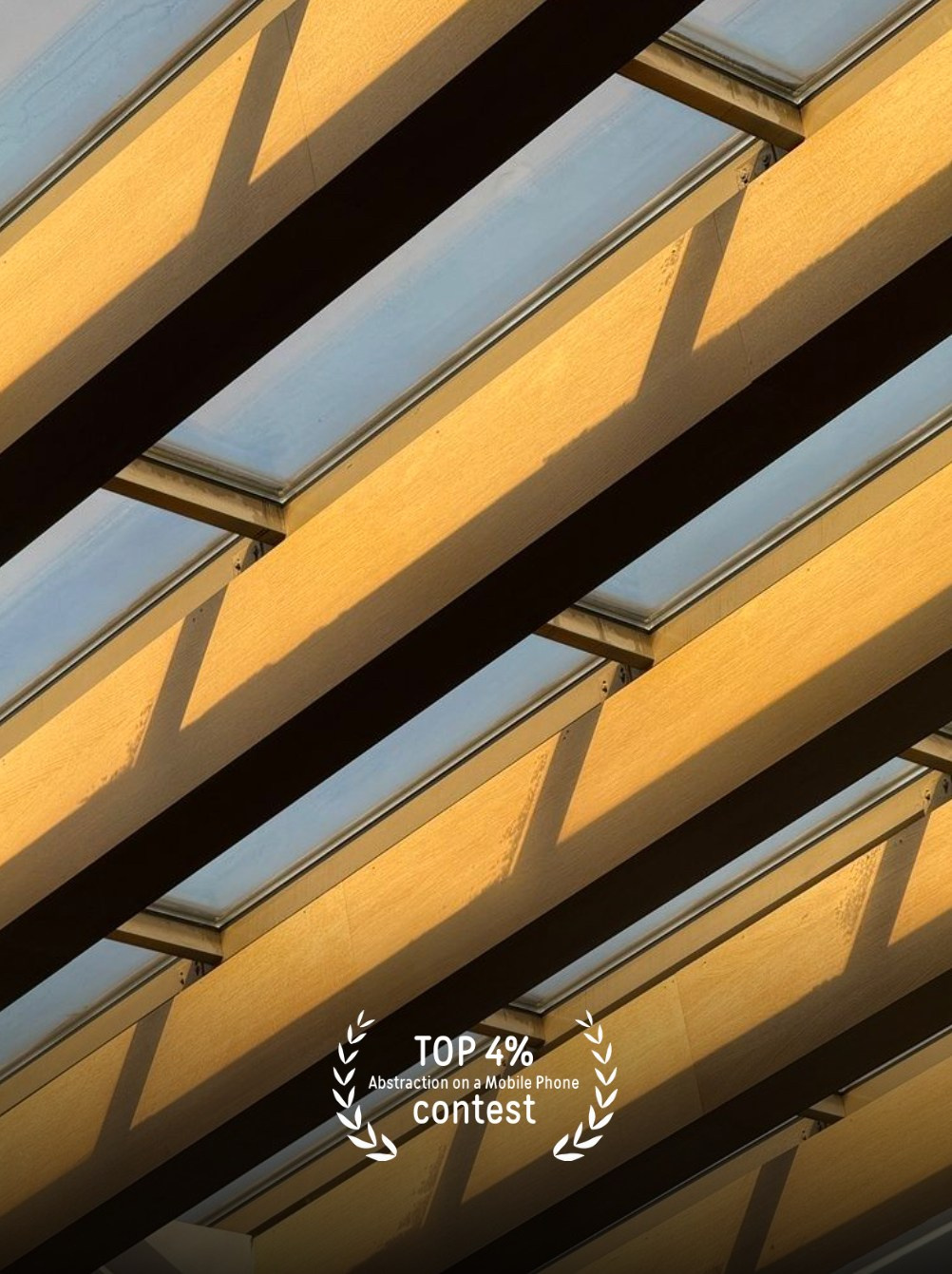 Фотопремия 35 AWARDS. Алиса Чугунова. Художественная фотография