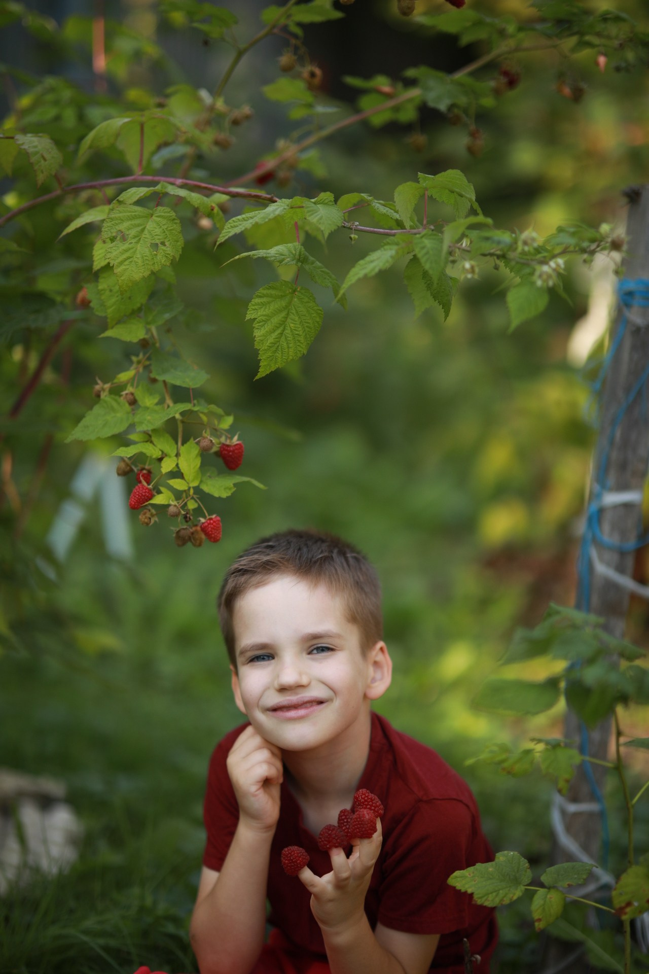 Ягода-малина. Фотограф Юлия Рязанова Москва семейный и детский
