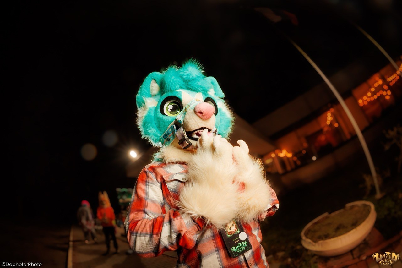 United Furry Convention 2026. Различные мероприятия и просто фотографии людей