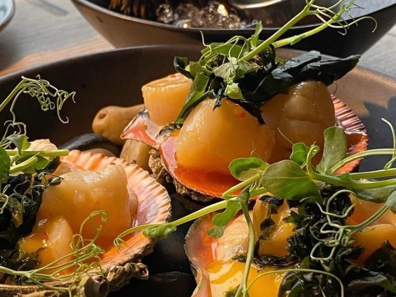 Мурманская Северное. Туры по России и миру