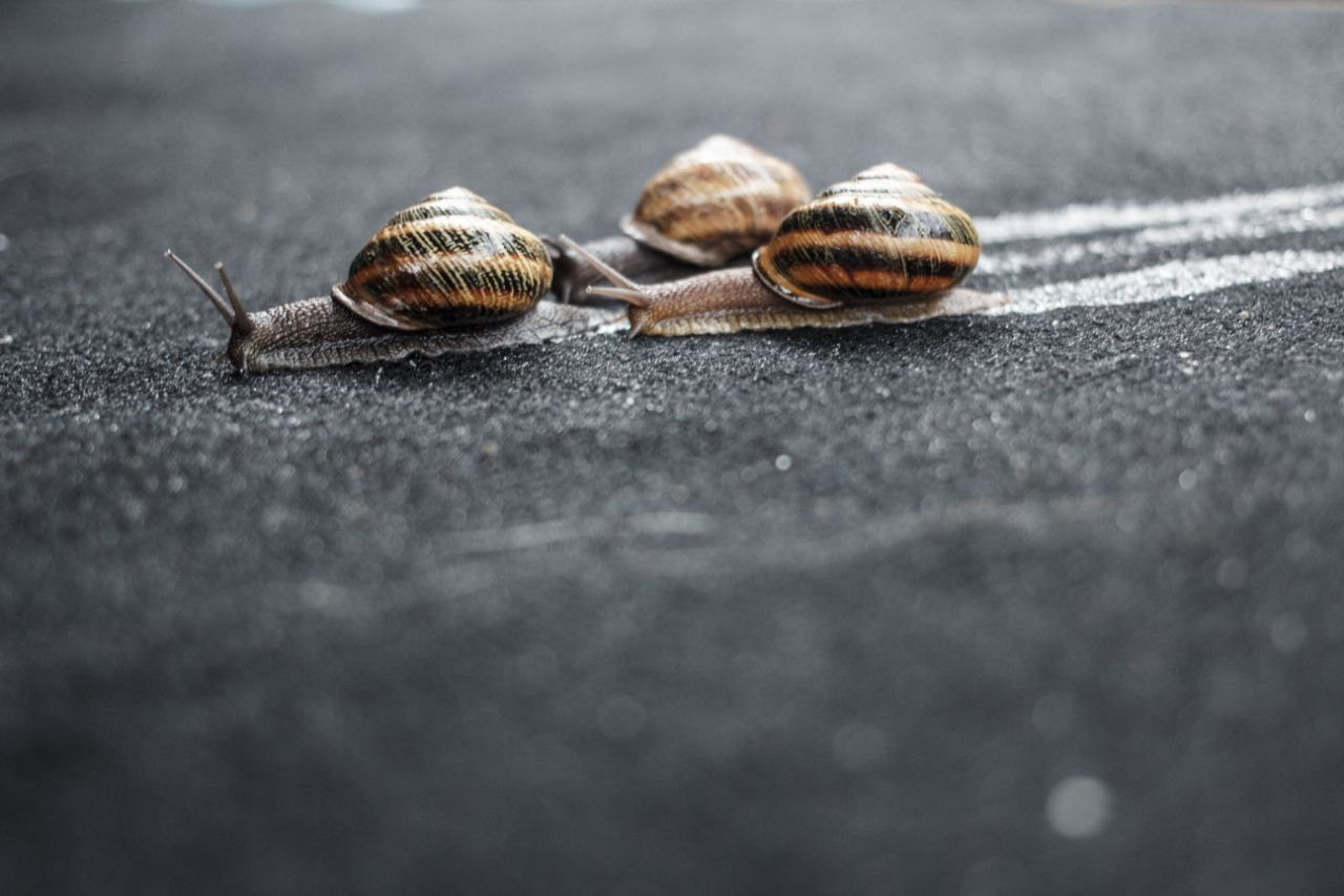 Тюленев Денис. Фотообъединение Самарского областного отделения Союза журналистов России