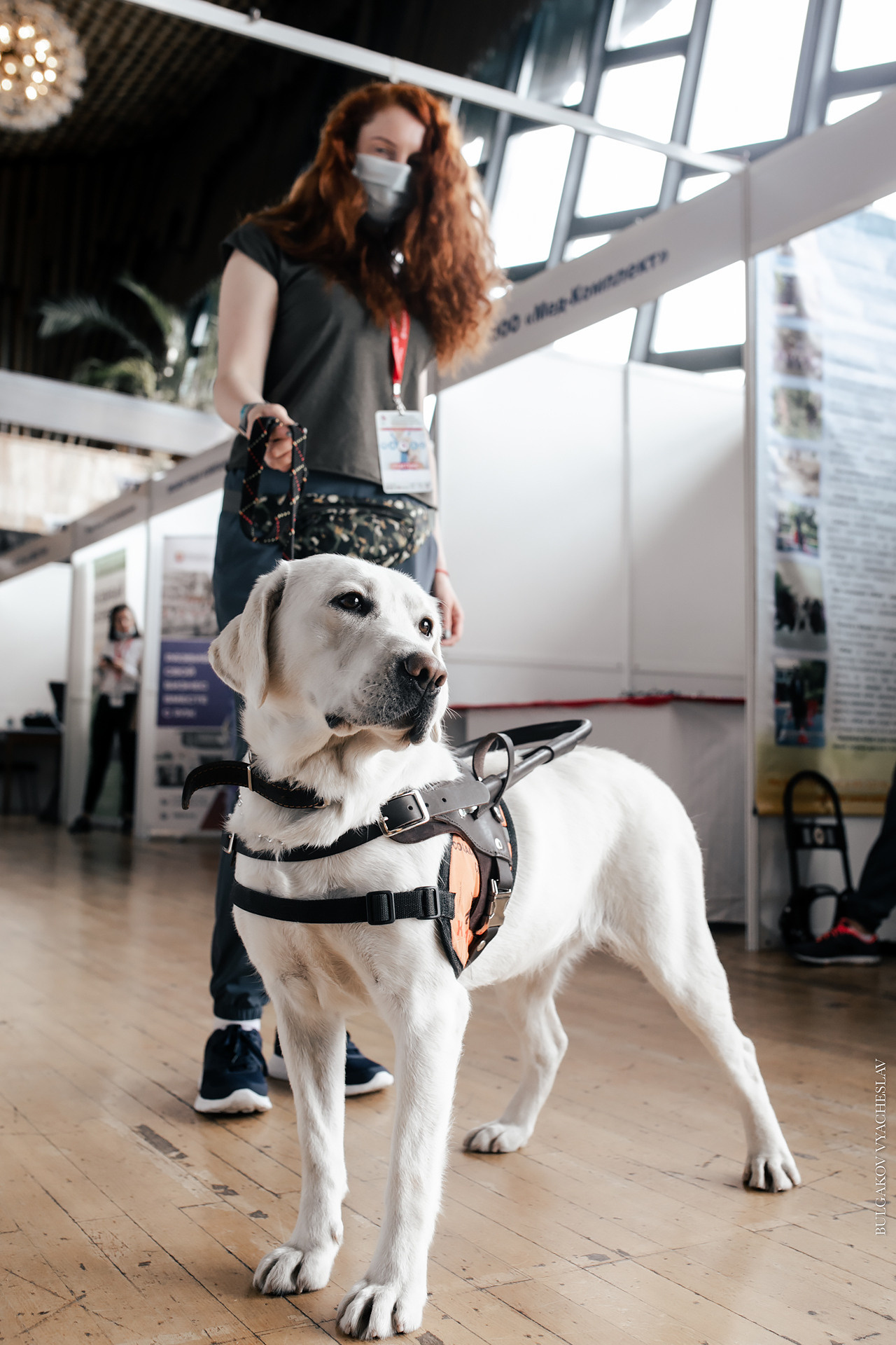 Здравоохранение Крым. Свадебный фотограф ростов-на-Дону / Сочи / Москва