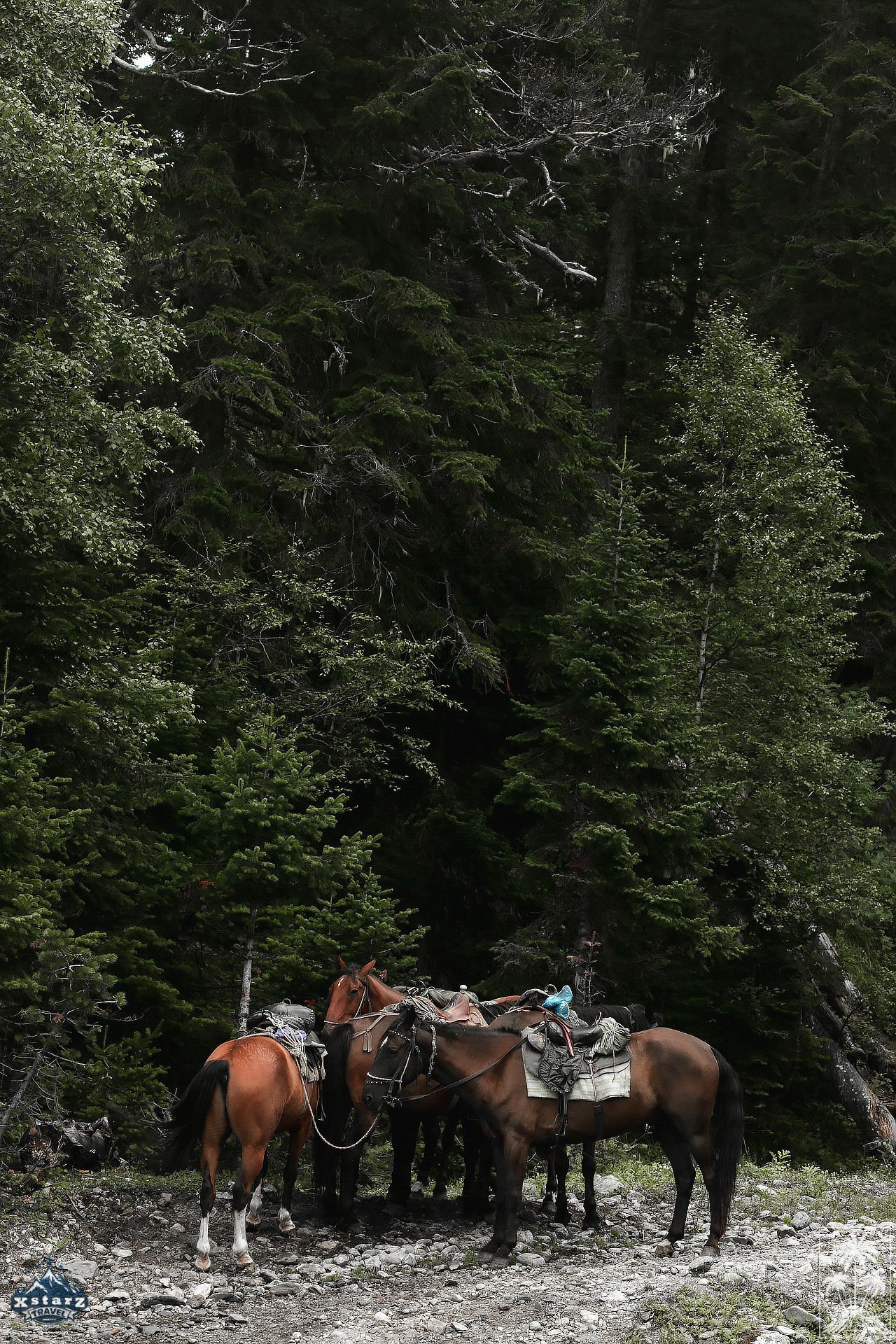 Тур-поездка в Архыз. Свадебный фотограф ростов-на-Дону / Сочи / Москва