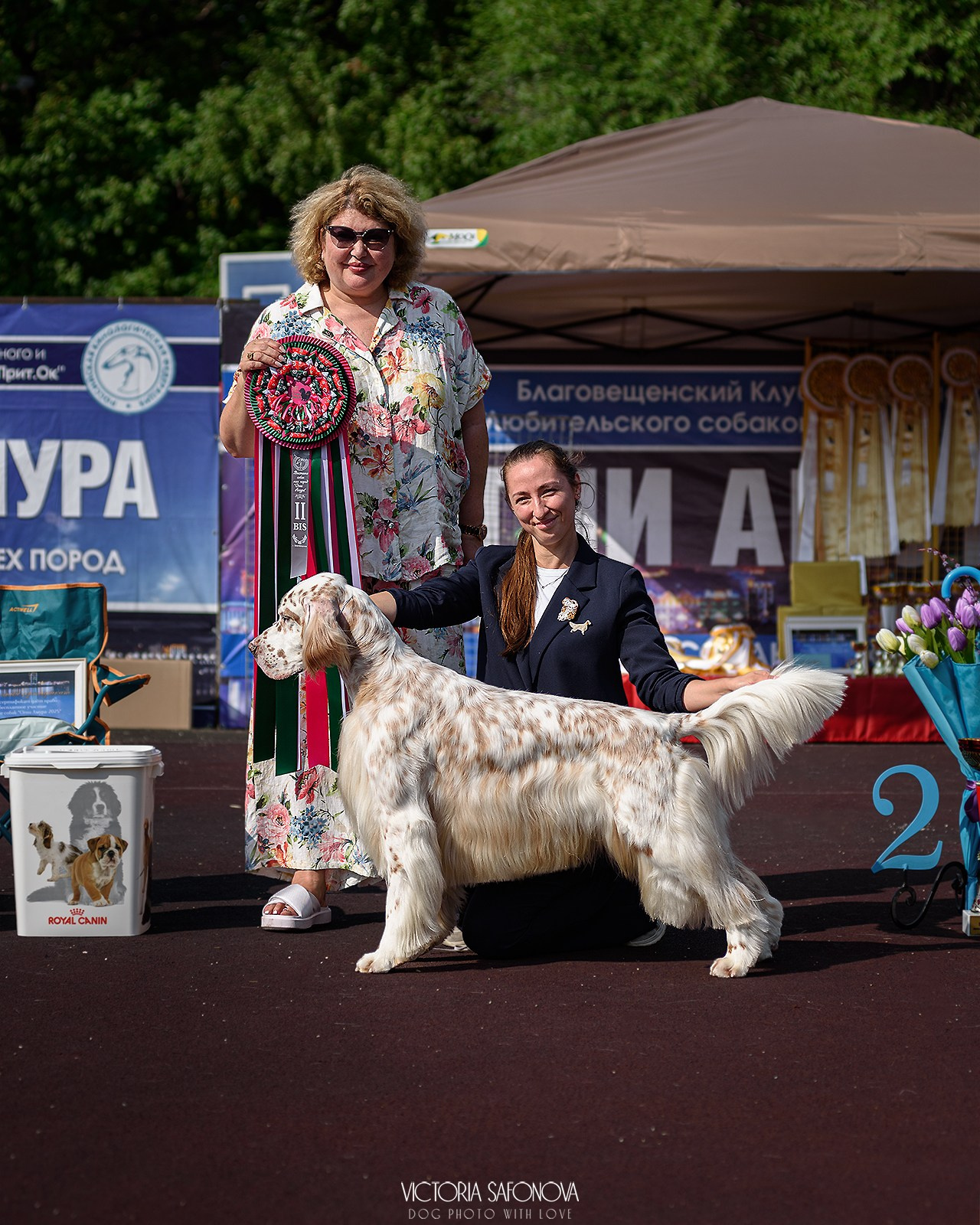 10 августа 2024. Благовещенск. Фотограф анималист Благовещенск. Сафонова Виктория