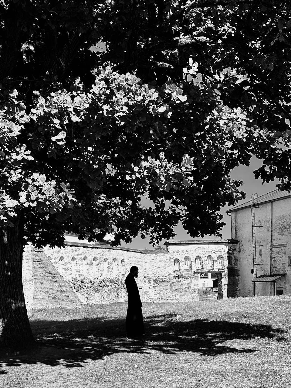 Топ 36 кадров челенджа по стрит фотографии. Фотограф Михаил Мордасов, Сочи. Мероприятия, портреты, спорт, репортаж