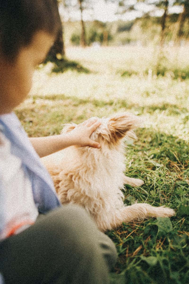 Синяя Птица. Соня Черных (sophieblack)