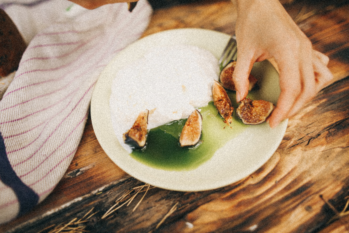 Синяя Птица. Соня Черных (sophieblack)