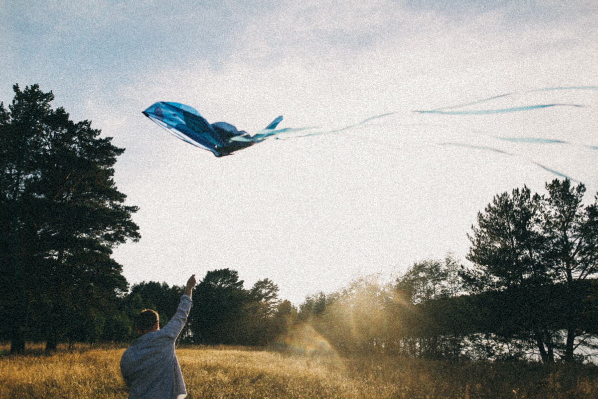 Синяя Птица. Соня Черных (sophieblack)