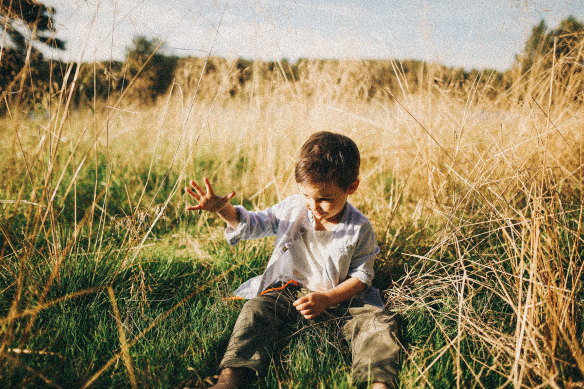 Синяя Птица. Соня Черных (sophieblack)