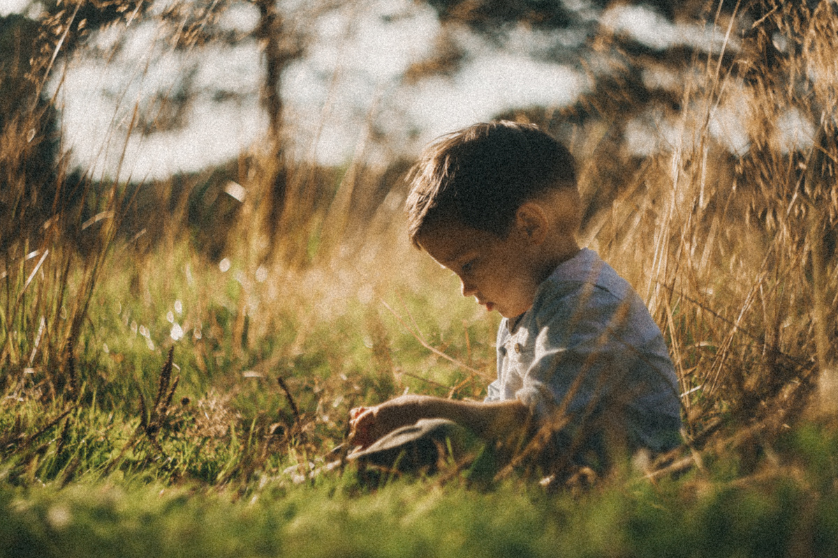 Синяя Птица. Соня Черных (sophieblack)