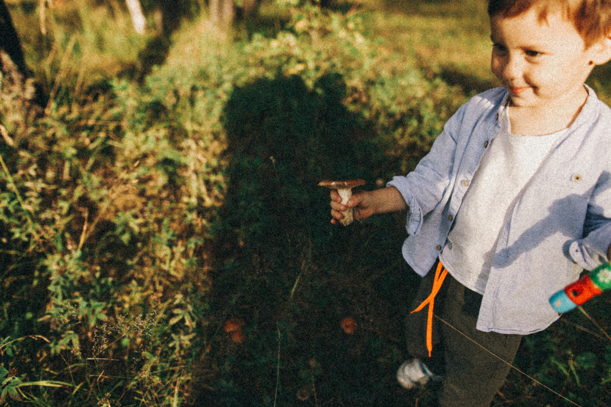 Синяя Птица. Соня Черных (sophieblack)