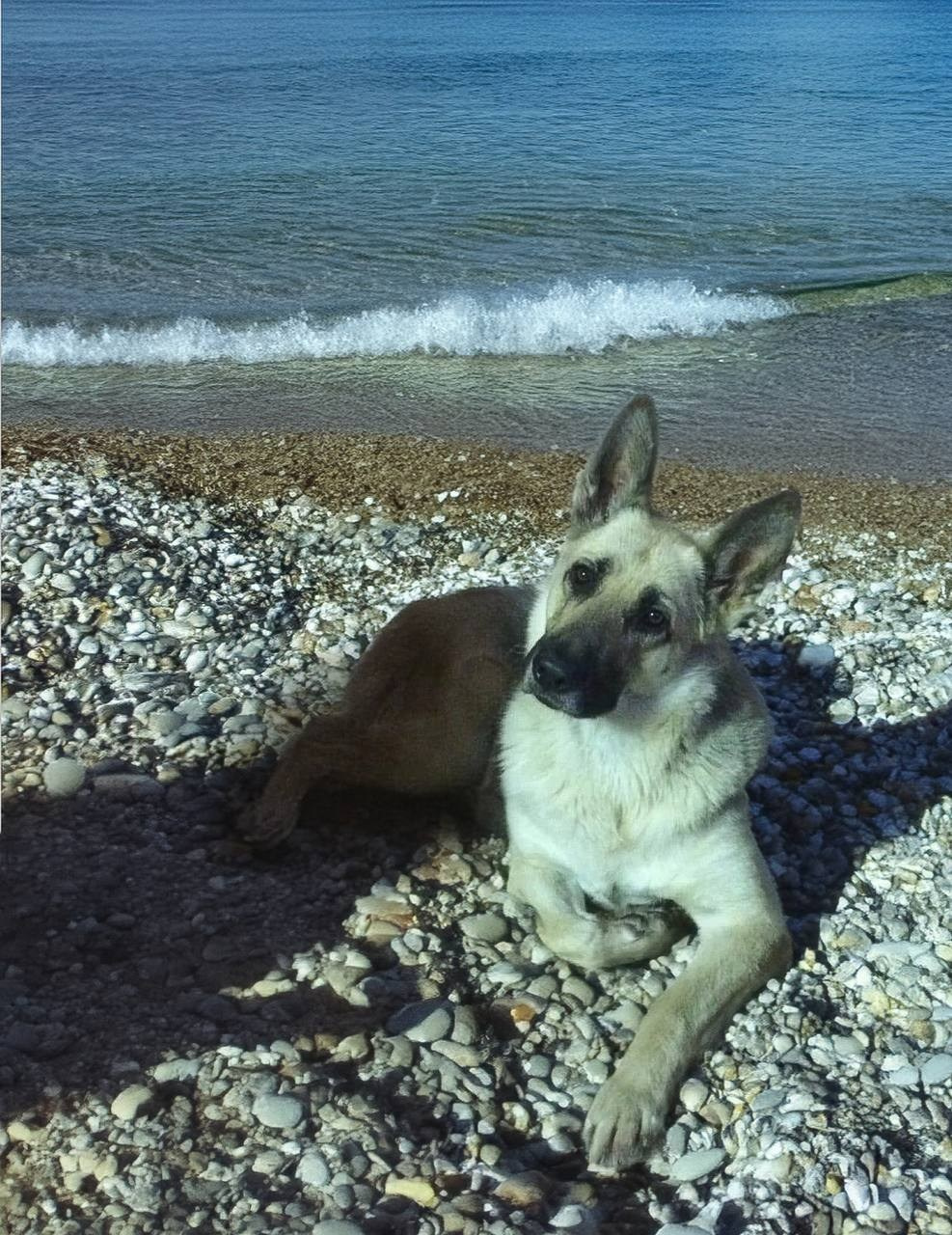 Графический дизайн. Силантьева Наталья фотограф