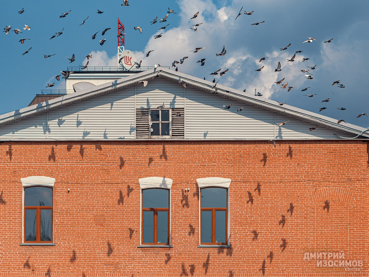 День города