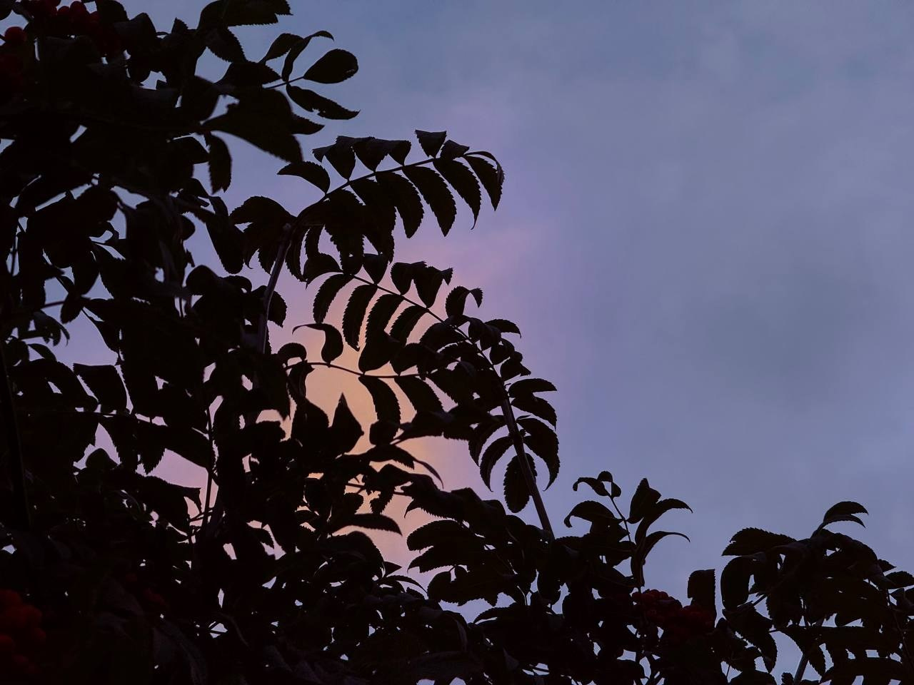 Lifestyle. ДАРЬЯ | ПОРТРЕТНЫЙ ФОТОГРАФ | КОНТЕНТ — ФОТОГРАФ | ЕКАТЕРИНБУРГ