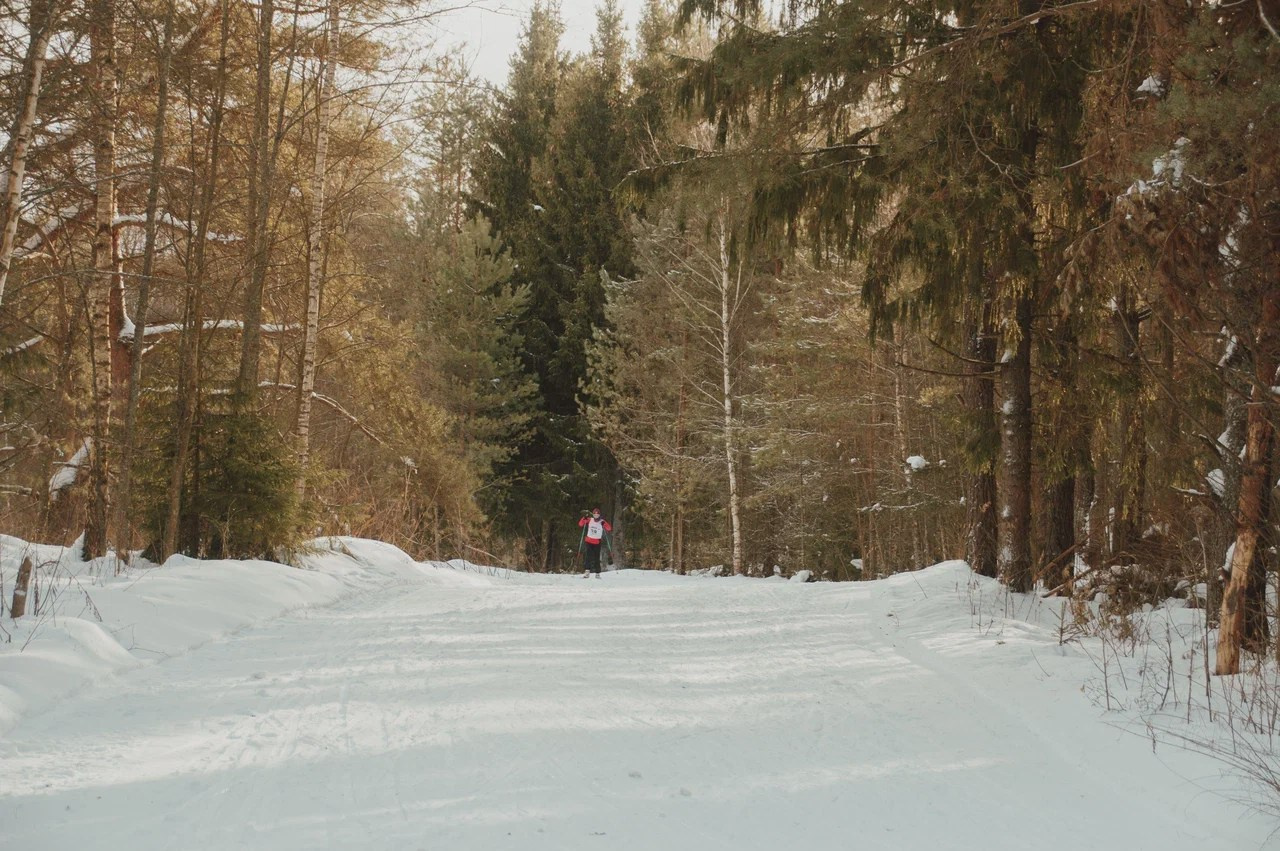 Лыжные соревнования, Вязьма. Индивидуальный фотограф в Москве