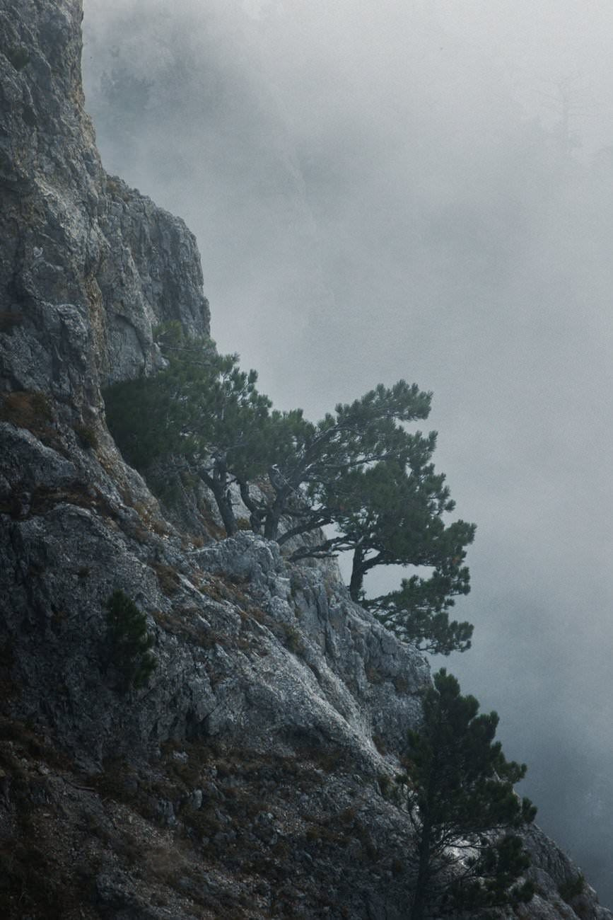 Monochrome — personal project of photographer Vadim Sherbakov. Vadim Sherbakov Portfolio