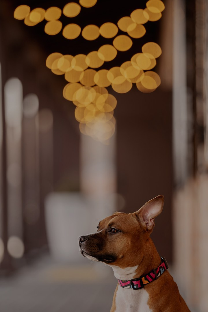 Луна. Kameramotor74