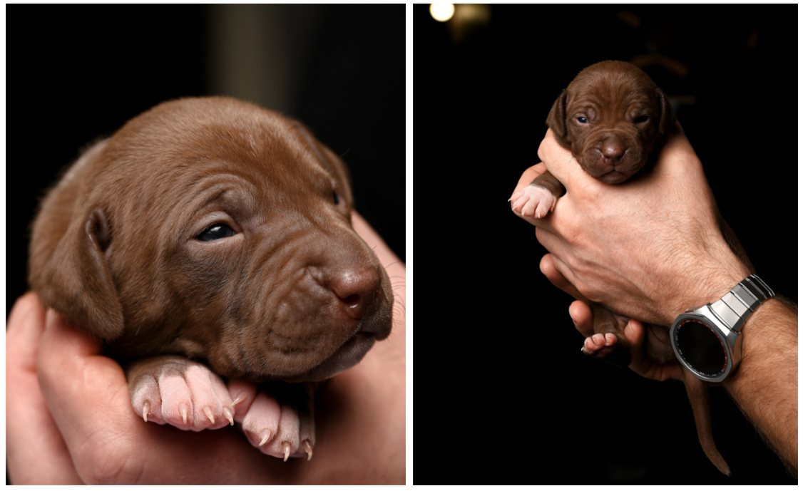 Юлия Пронина. Фотограф в России, Семейный фотограф, репортажный фотограф, детский фотограф, портретный фотограф, контент фотограф, универсальный фотограф