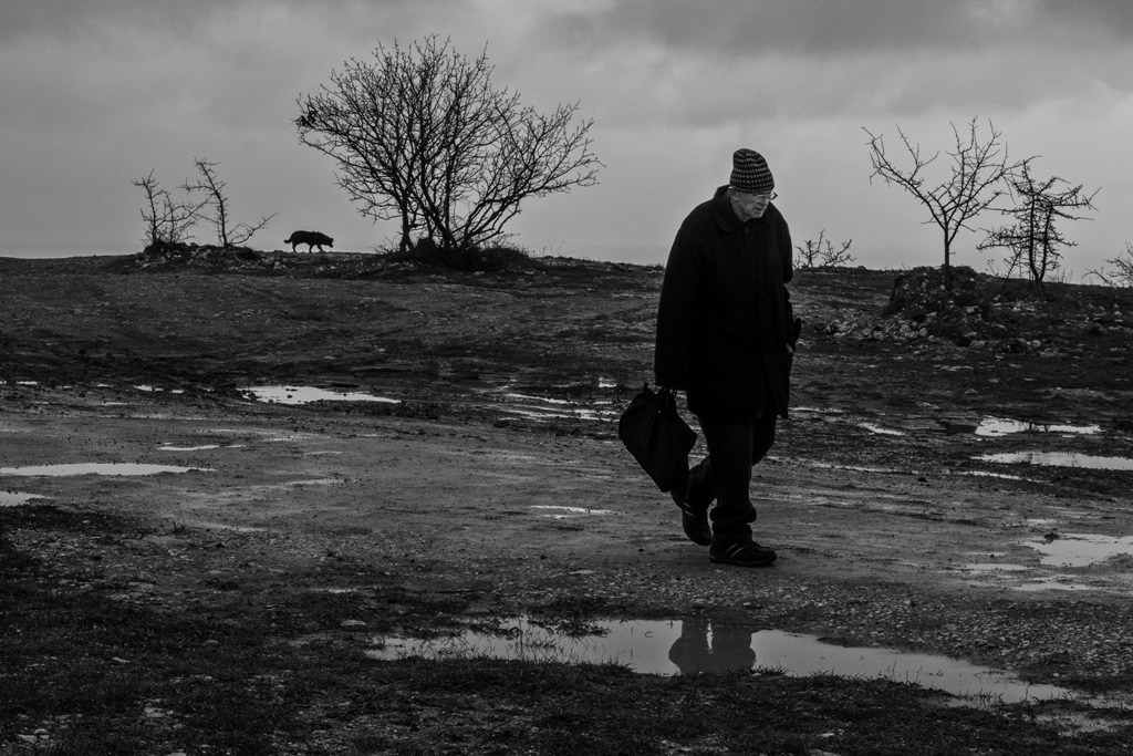 2015— Гран-при. Фотообъединение Самарского областного отделения Союза журналистов России