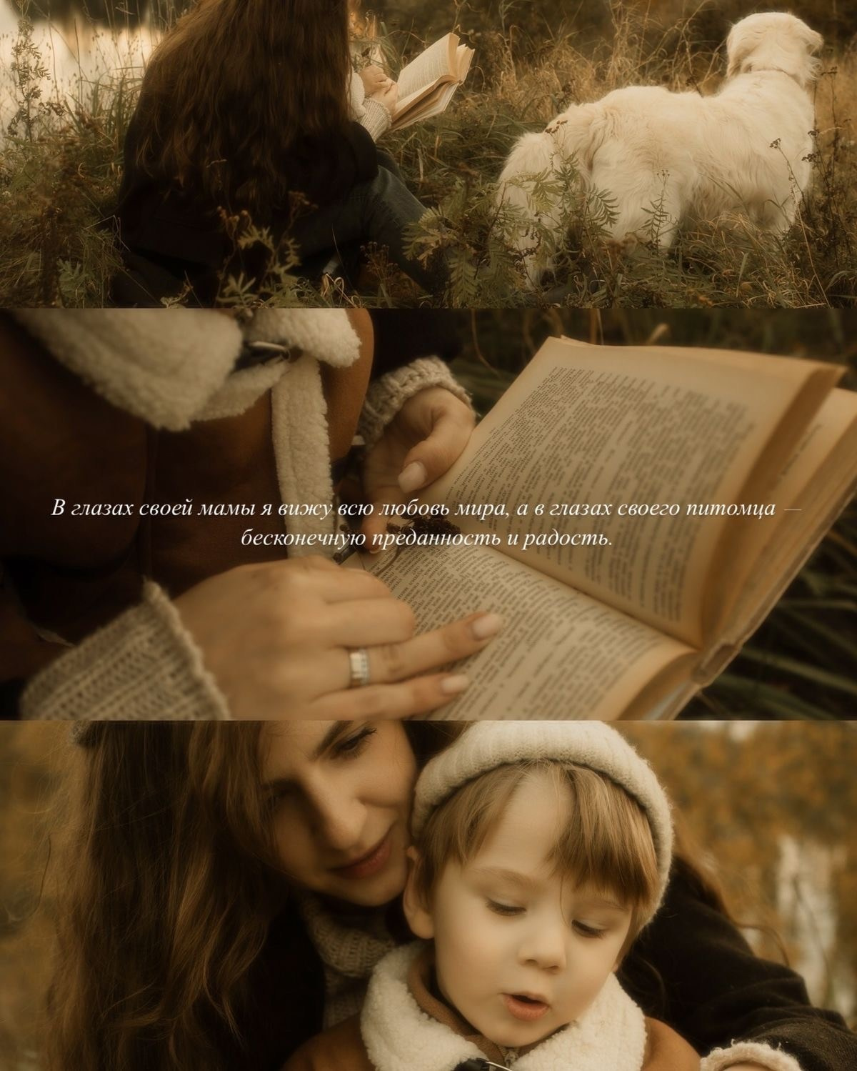 Семейные фотосесии 2025