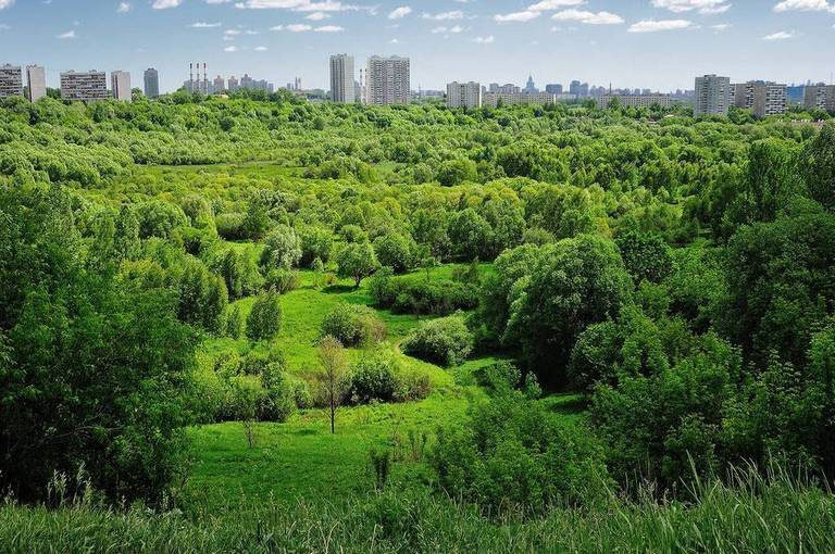 Красивые места для фотосессии в Москве для свадебной и семейной съемки