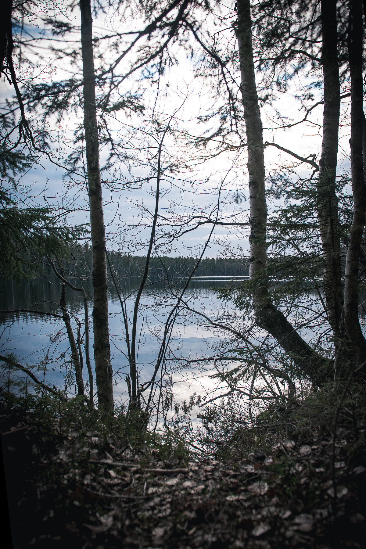 В гостях под Выборгом. Фотограф-анималист Наталья Светличная