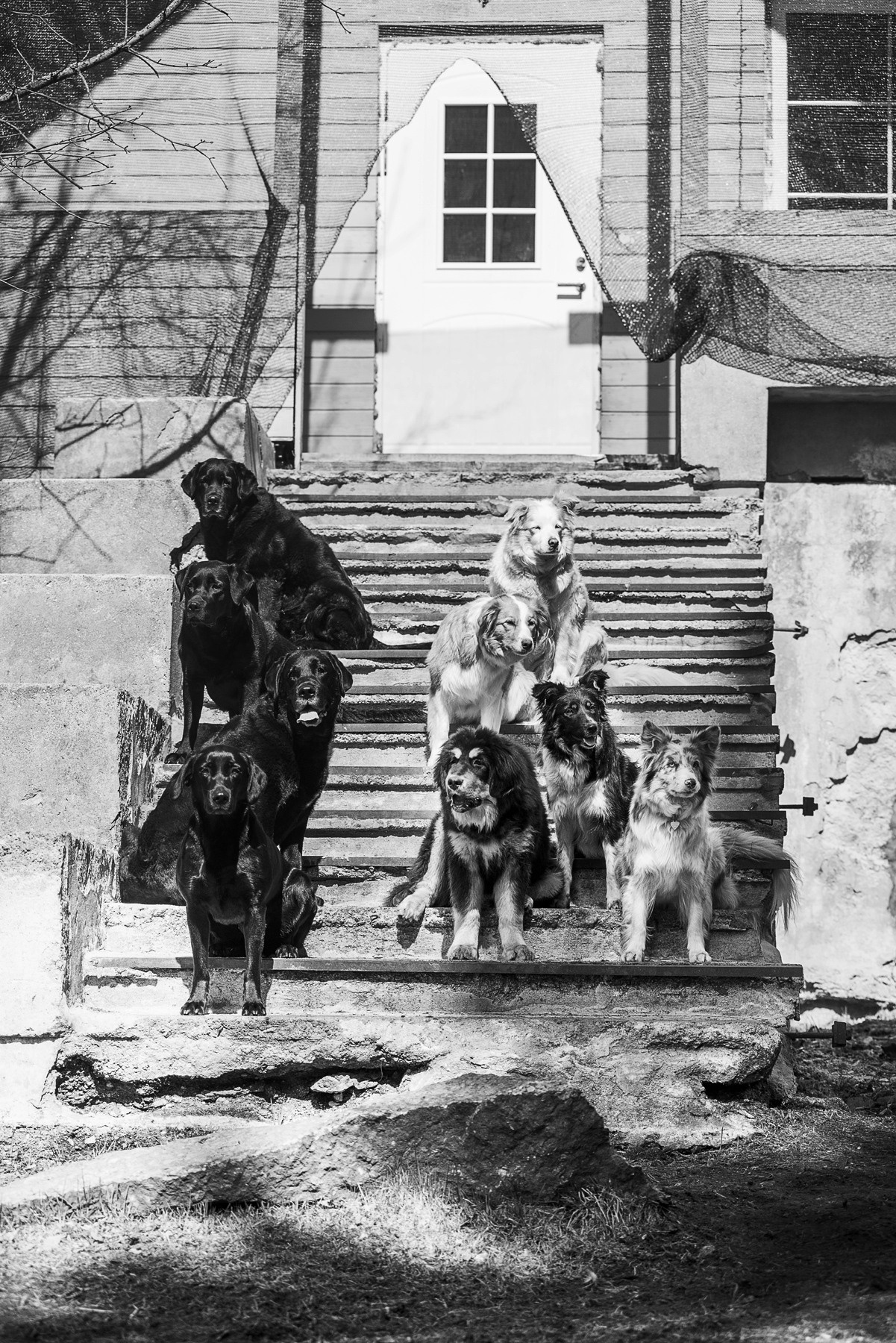 В гостях под Выборгом. Фотограф-анималист Наталья Светличная