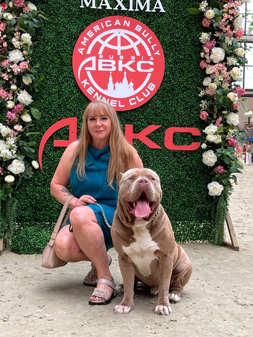 American Bully puppy marble color XL	in Marcel, American Bully puppy with different eyes XL	in Marcel, American bully puppy multicolored XL	in Marcel, American bully puppy marble color XL	in Marcel, Buy an American Bully XL puppy	in Strasbourg, American bully puppy	in Strasbourg, American bully to buy a puppy	in Strasbourg, 