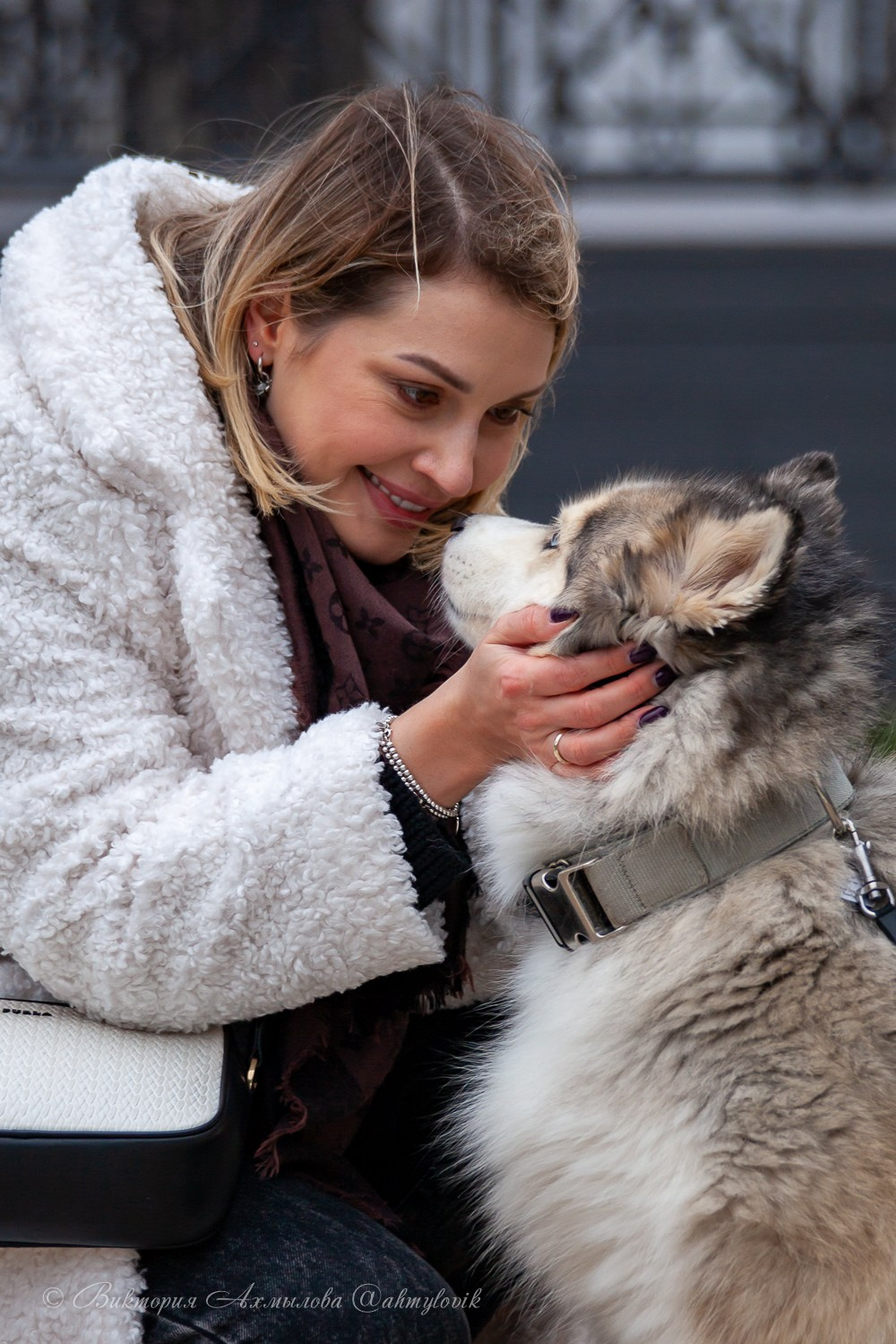 Прогулка с Хаски (Настя). Виктория Ахмылова. Фотограф в Москве