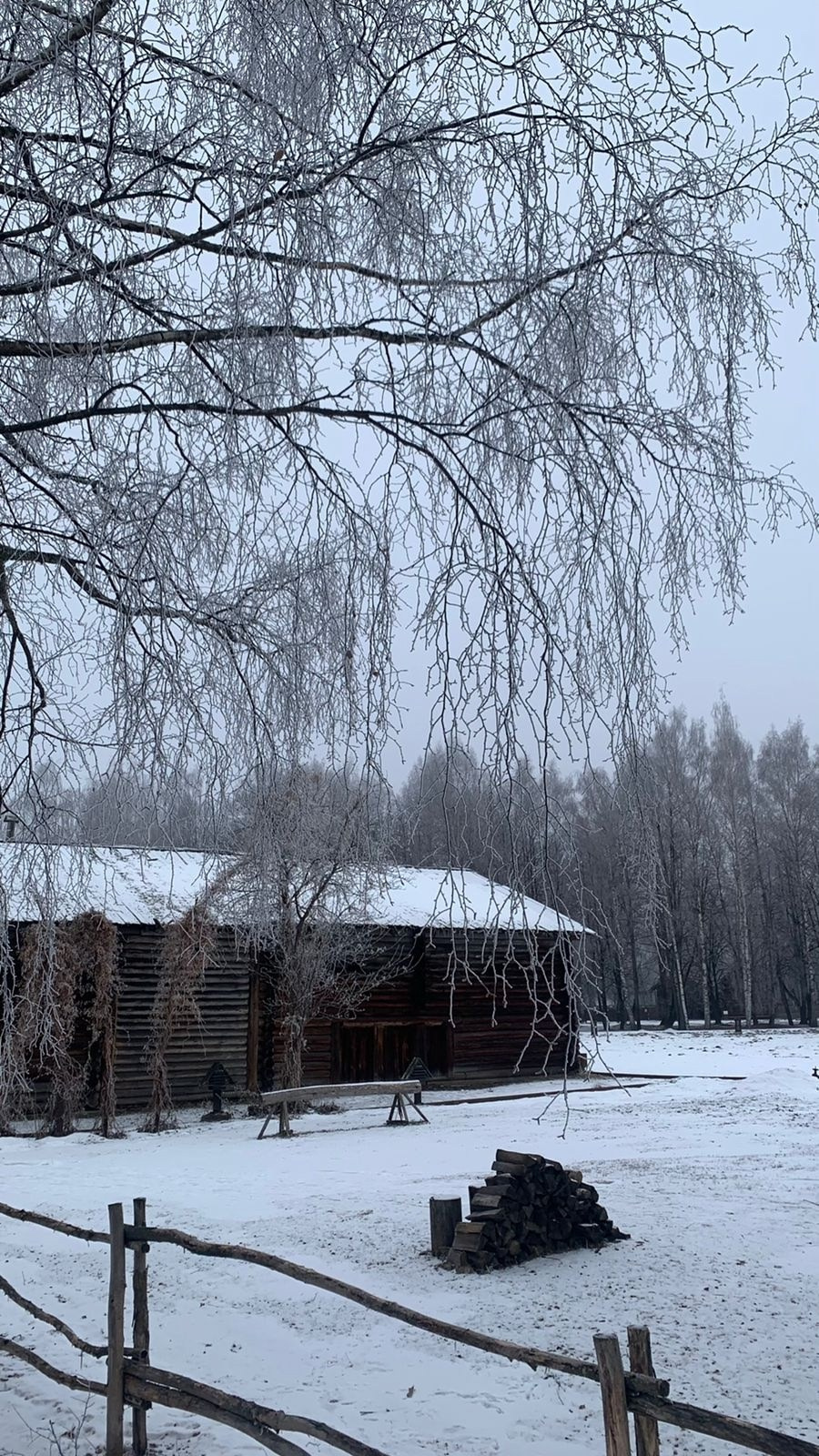 Кострома | 08-09.02.2025. Галерея Фантим