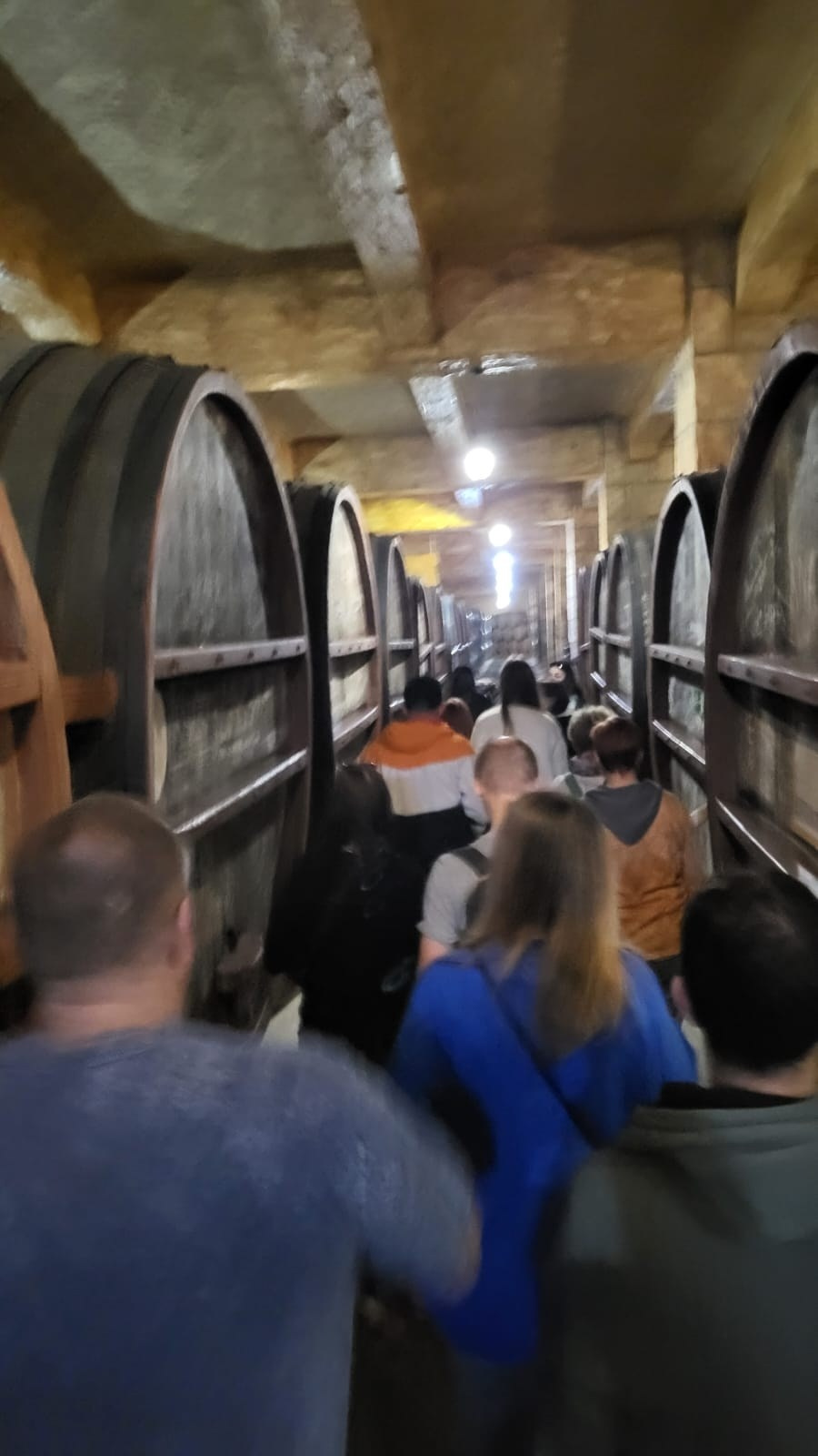 Армения | 16-19.11.2023. Галерея Фантим