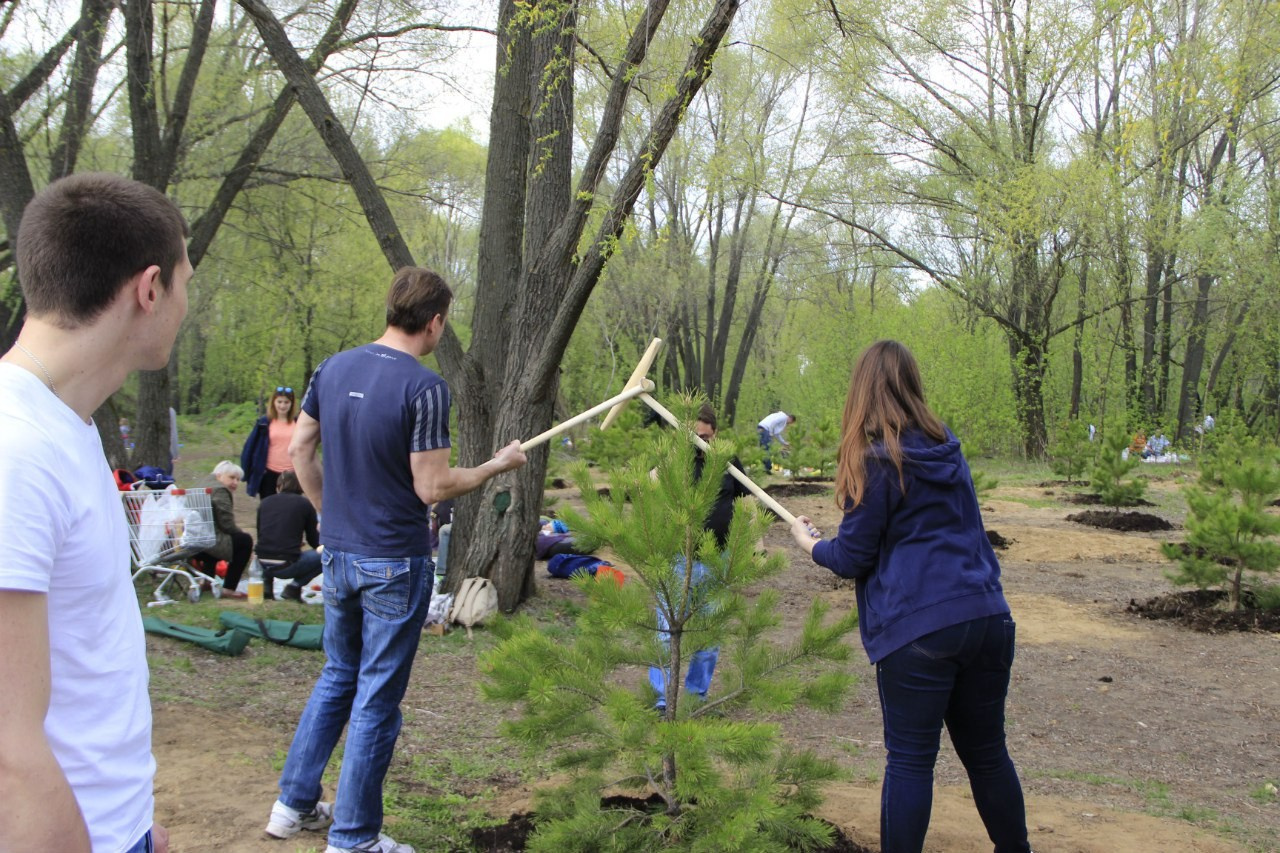 Шашлыки | 01.05.2016. Галерея Фантим