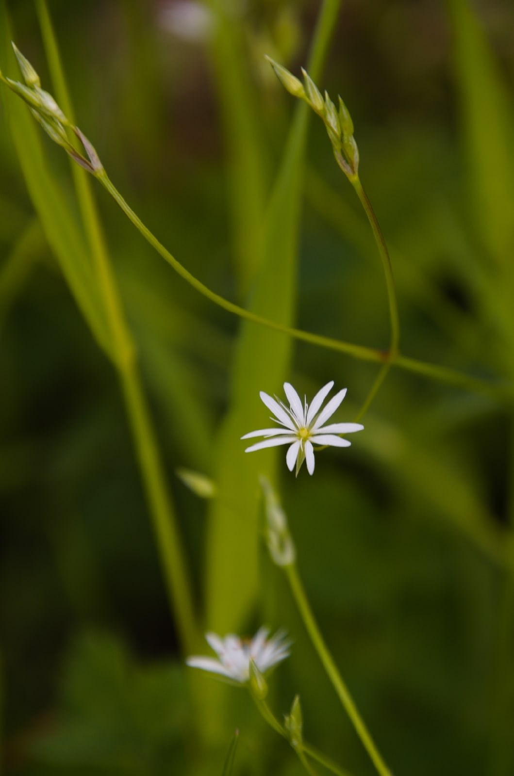 Тюмень | 11-13.06.2022. Галерея Фантим