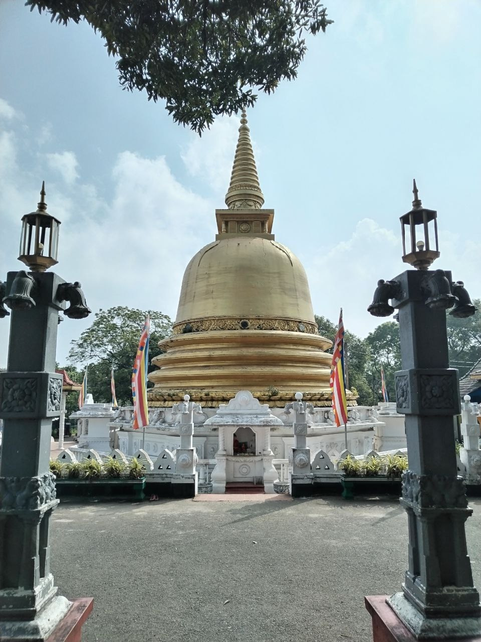 Шри-Ланка | 31.01 — 10.02.2025. Галерея Фантим